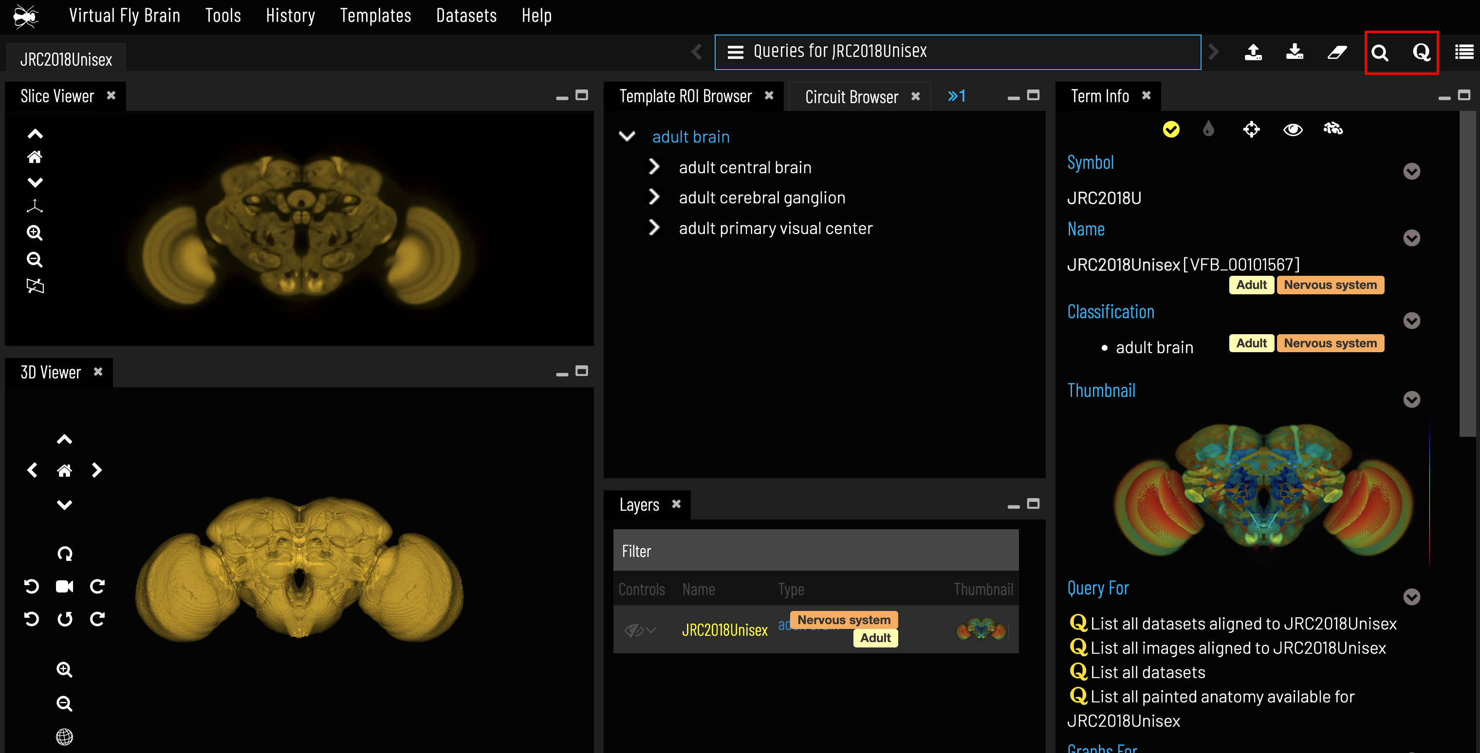 Location of the VFB search and query tools.
